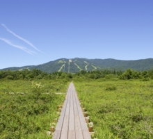 湿原植物園から望む大日ヶ岳
