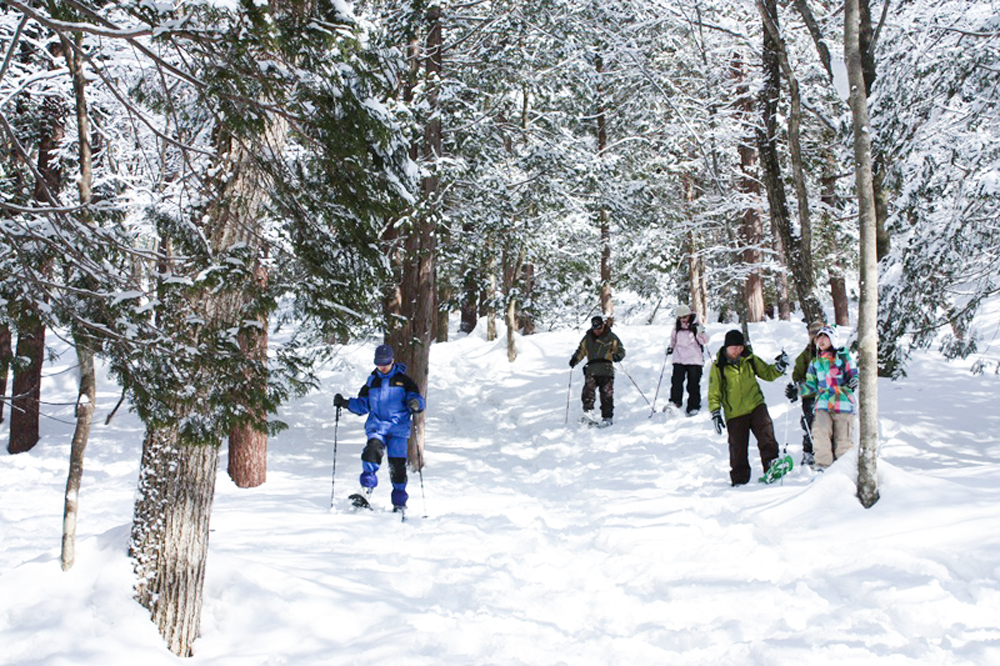 ひるがの高原スノーウォーク
