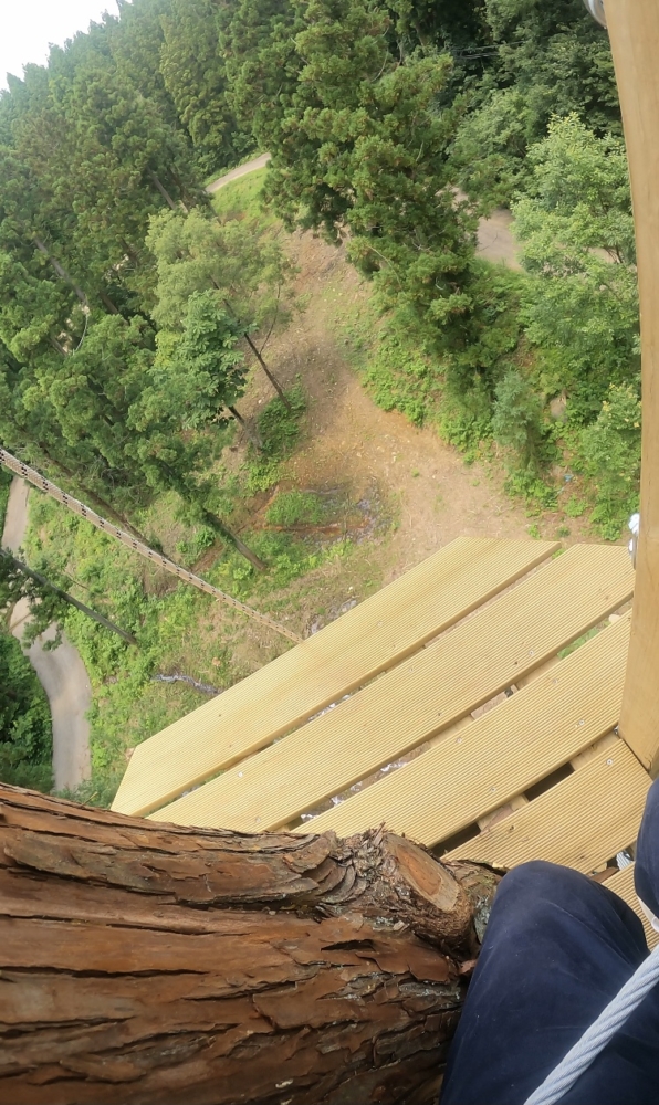 画像に alt 属性が指定されていません。ファイル名: IMG_3256-596x1000.jpg