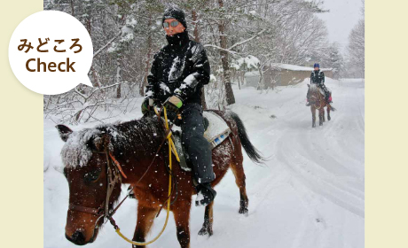 冬の乗馬