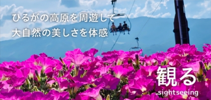 ひるがの高原を周遊して大自然の美しさを体験　ひるがの高原の観るスポット一覧